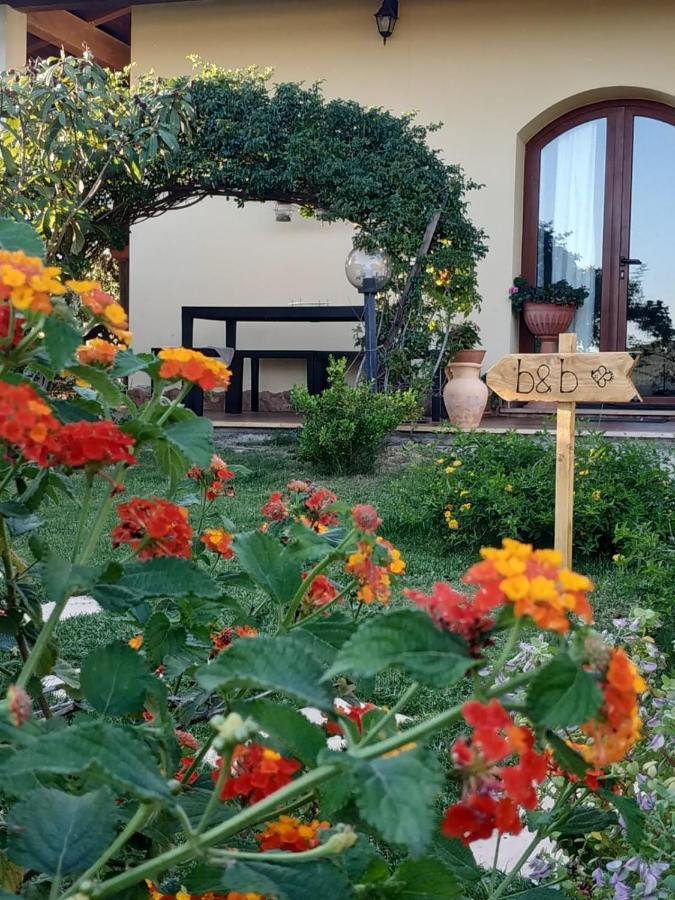 B&B Ottoulivi Sardara Zewnętrze zdjęcie